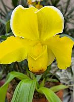 20250222_135117 Tower Hill Botanic Garden, MA